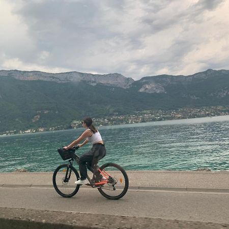 Petit Cocon Entre Lac, Golf Et Montagne, Proche D'Annecy Giez Bagian luar foto