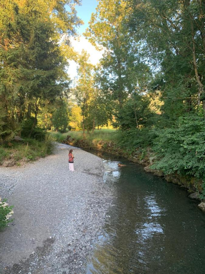 Petit Cocon Entre Lac, Golf Et Montagne, Proche D'Annecy Giez Bagian luar foto