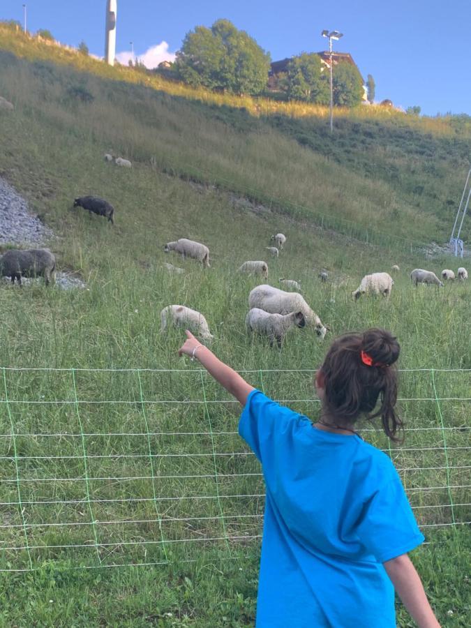 Petit Cocon Entre Lac, Golf Et Montagne, Proche D'Annecy Giez Bagian luar foto